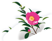 年末年始の診療について